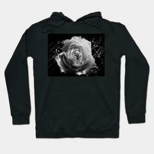 Rose and lace in black and white Hoodie